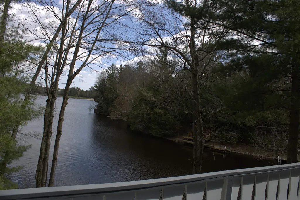 6341 Eagles Nest Moffatt Township MI 48610