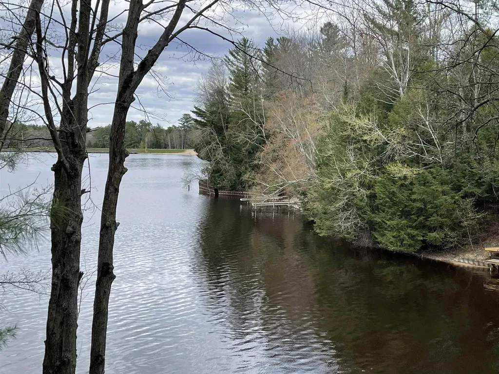6341 Eagles Nest Moffatt Township MI 48610