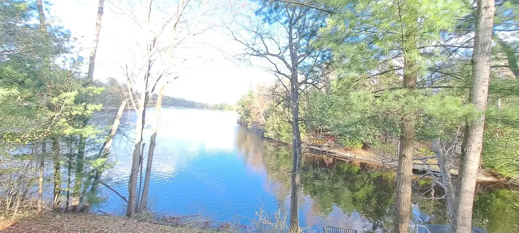 6341 Eagles Nest Moffatt Township MI 48610