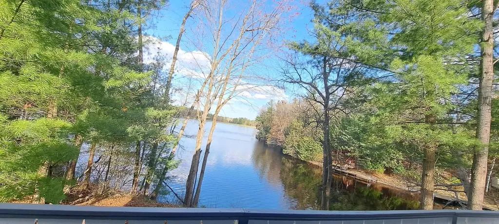 6341 Eagles Nest Moffatt Township MI 48610