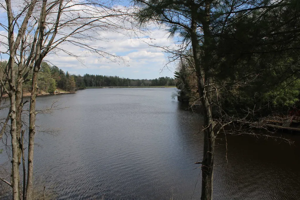 6341 Eagles Nest Moffatt Township MI 48610