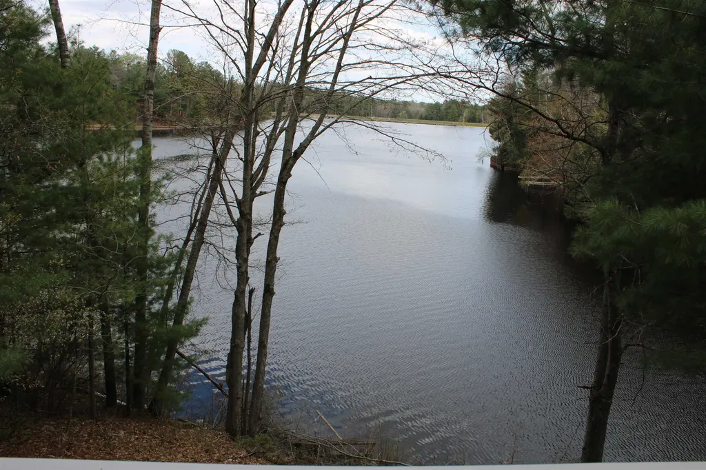 6341 Eagles Nest Moffatt Township MI 48610