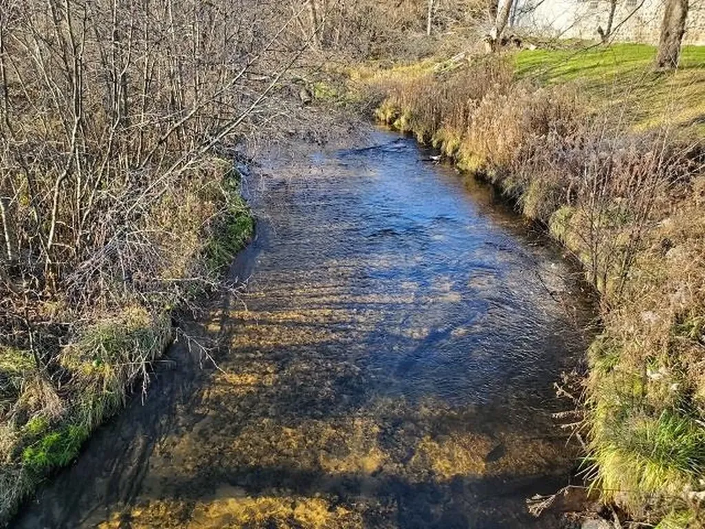 331 N Seventh Street West Branch Township MI 48661