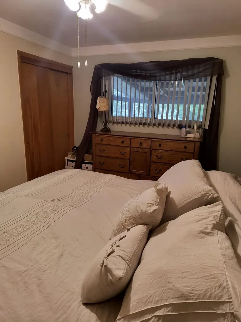 24686 Donald Drive Redford Charter Township MI 48239
