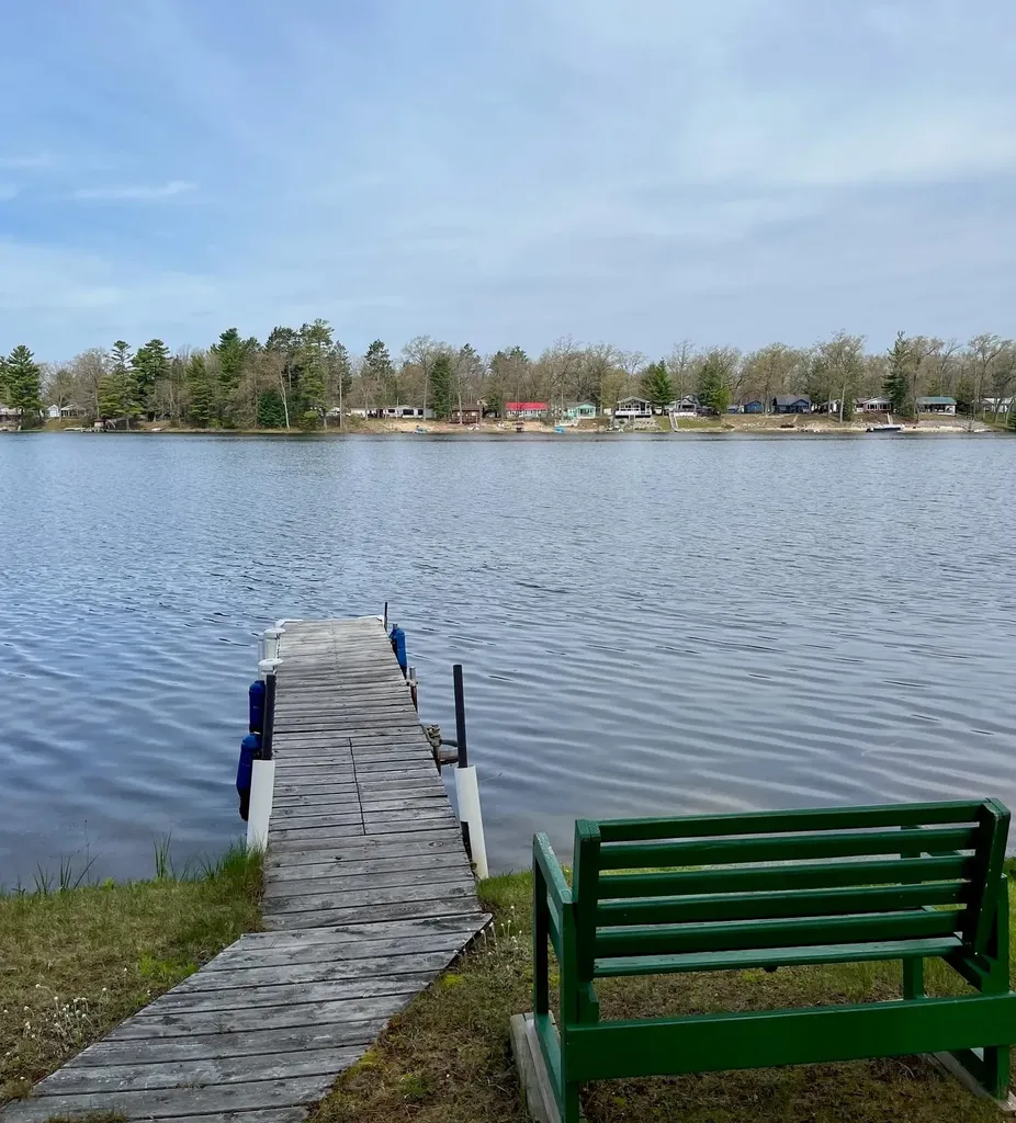 1710 Lillian Drive Grant Township MI 48748