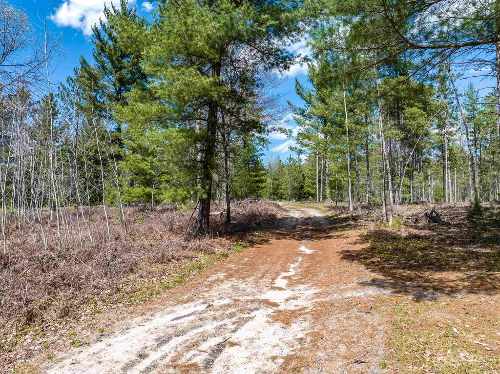 0 Seder Road Moffatt Township MI 48610