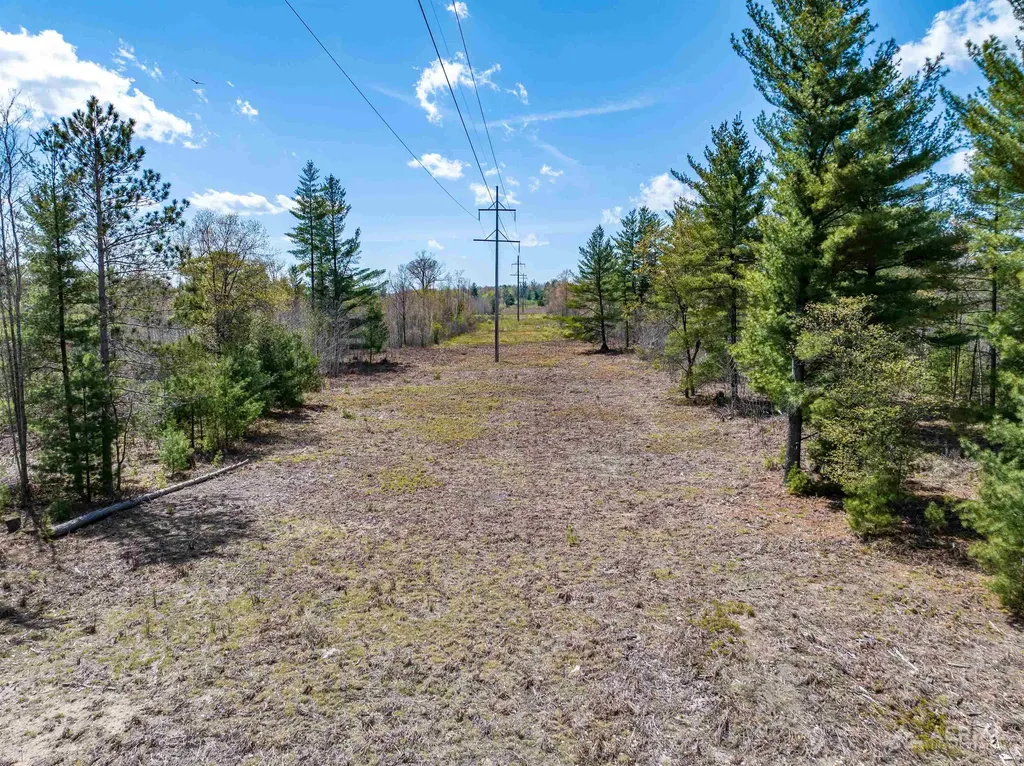 0 Seder Road Moffatt Township MI 48610