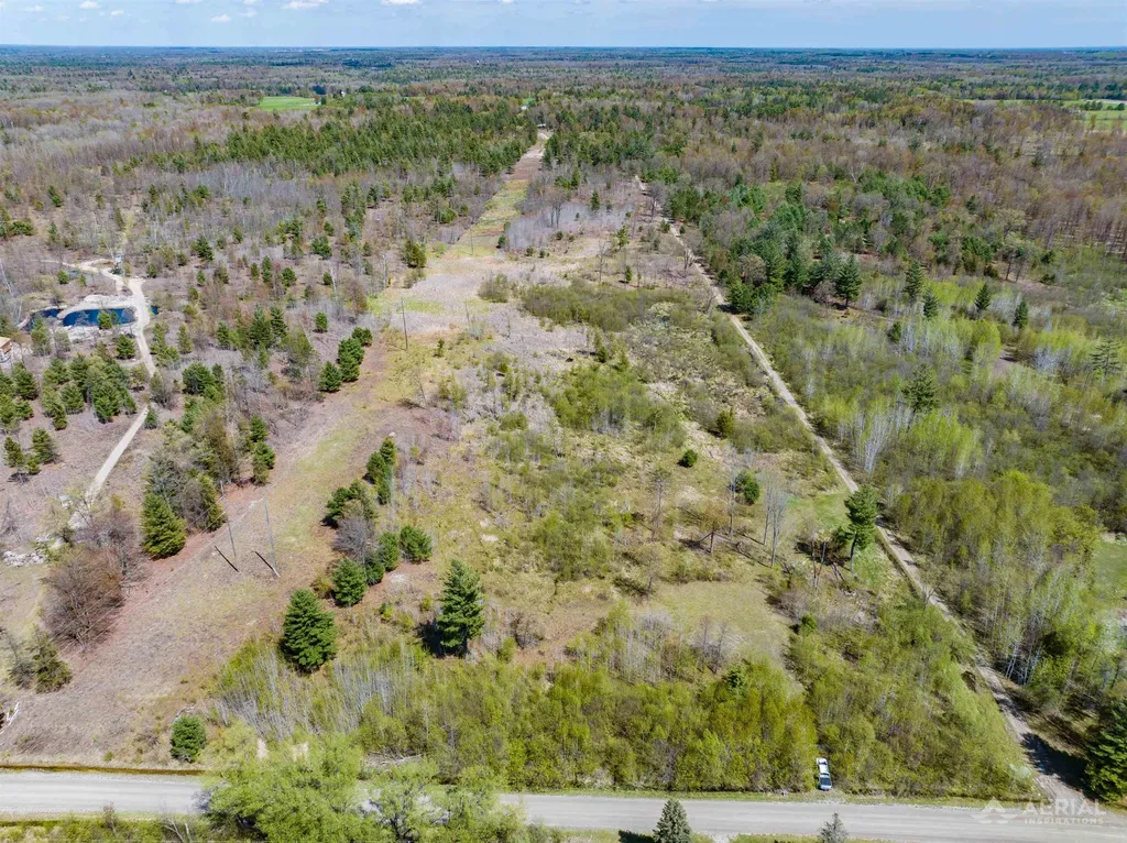 0 Seder Road Moffatt Township MI 48610