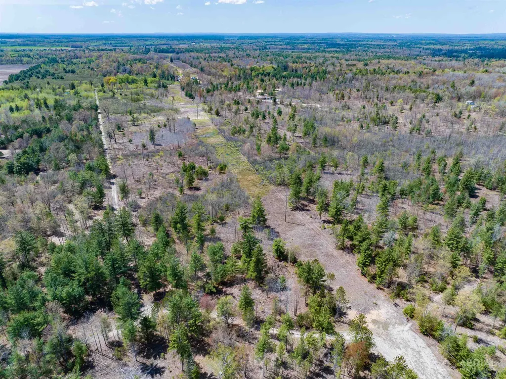 0 Seder Road Moffatt Township MI 48610