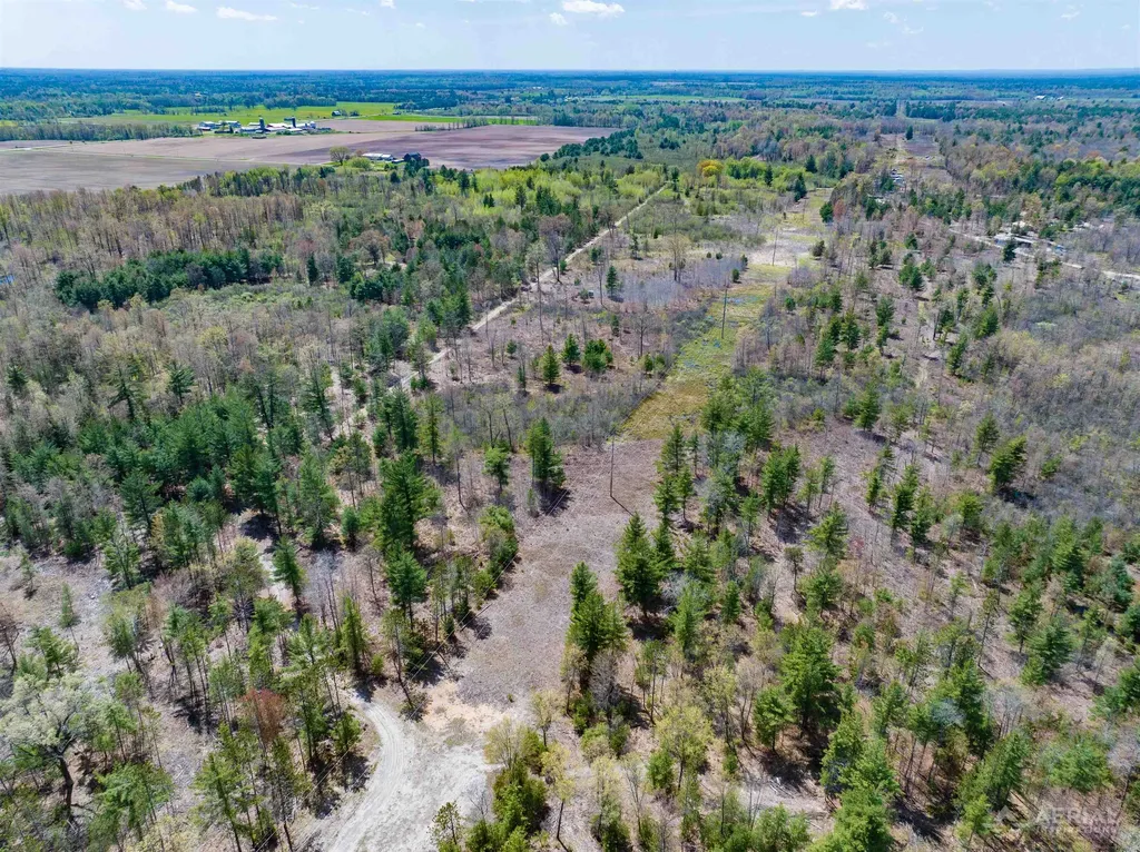 0 Seder Road Moffatt Township MI 48610