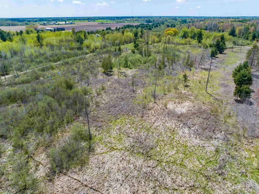 0 Seder Road Moffatt Township MI 48610