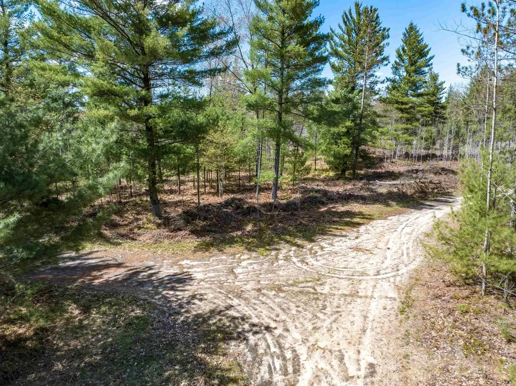 0 Seder Road Moffatt Township MI 48610