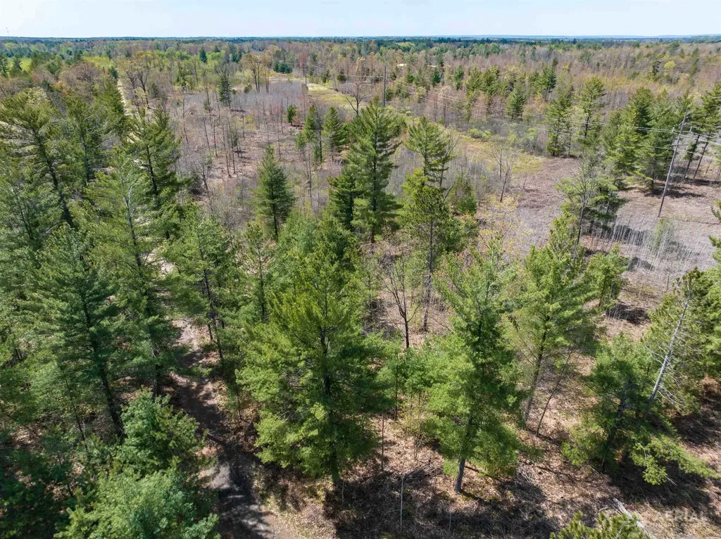 0 Seder Road Moffatt Township MI 48610