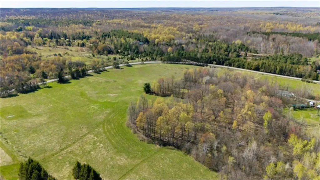 V/l W Curtisville Road Alcona Township MI 48761
