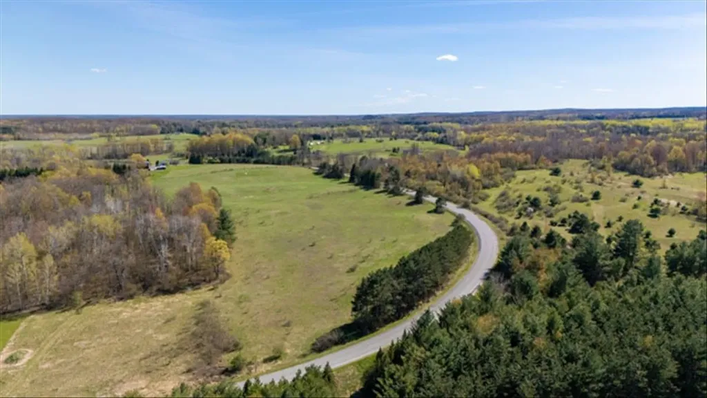 V/l W Curtisville Road Alcona Township MI 48761