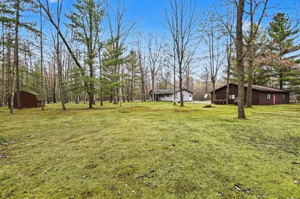 5376 Ausable Drive Goodar Township MI 48739
