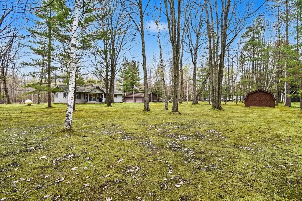 5376 Ausable Drive Goodar Township MI 48739