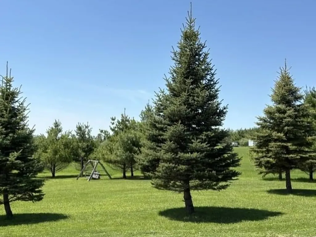 900 Providence Way West Branch Township MI 48661