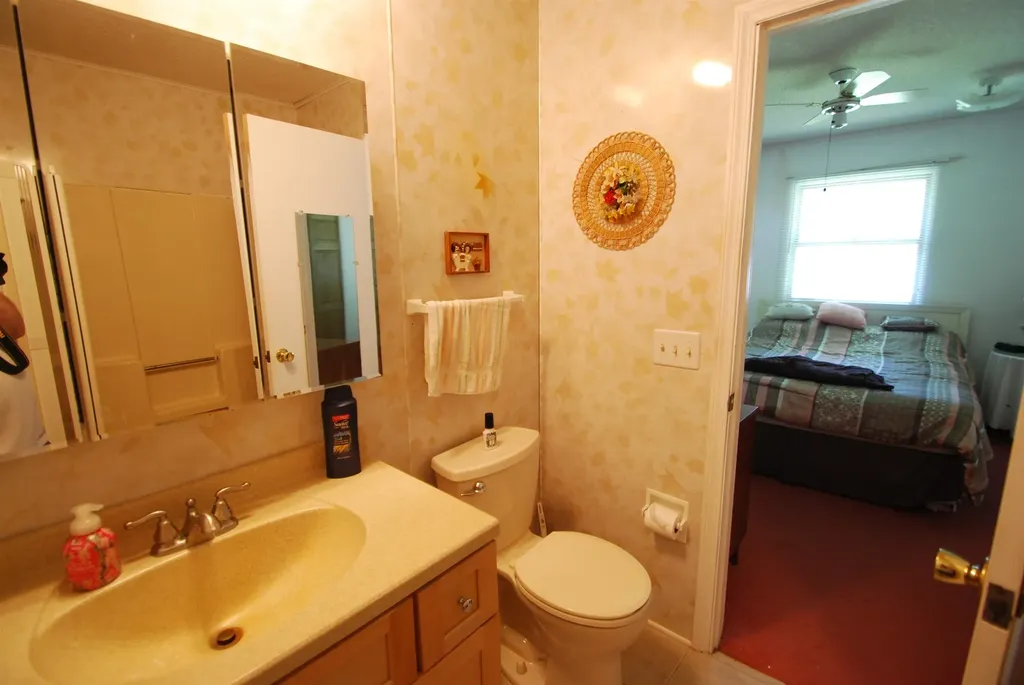 1456 Rifle River Drive Mills Township MI 48756