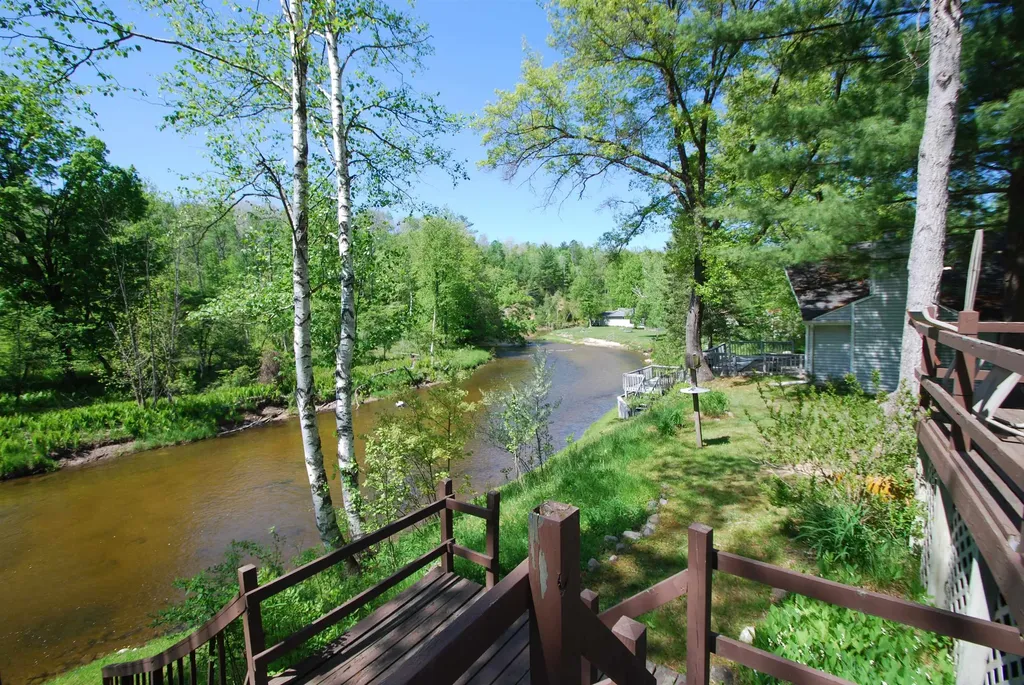 1456 Rifle River Drive Mills Township MI 48756