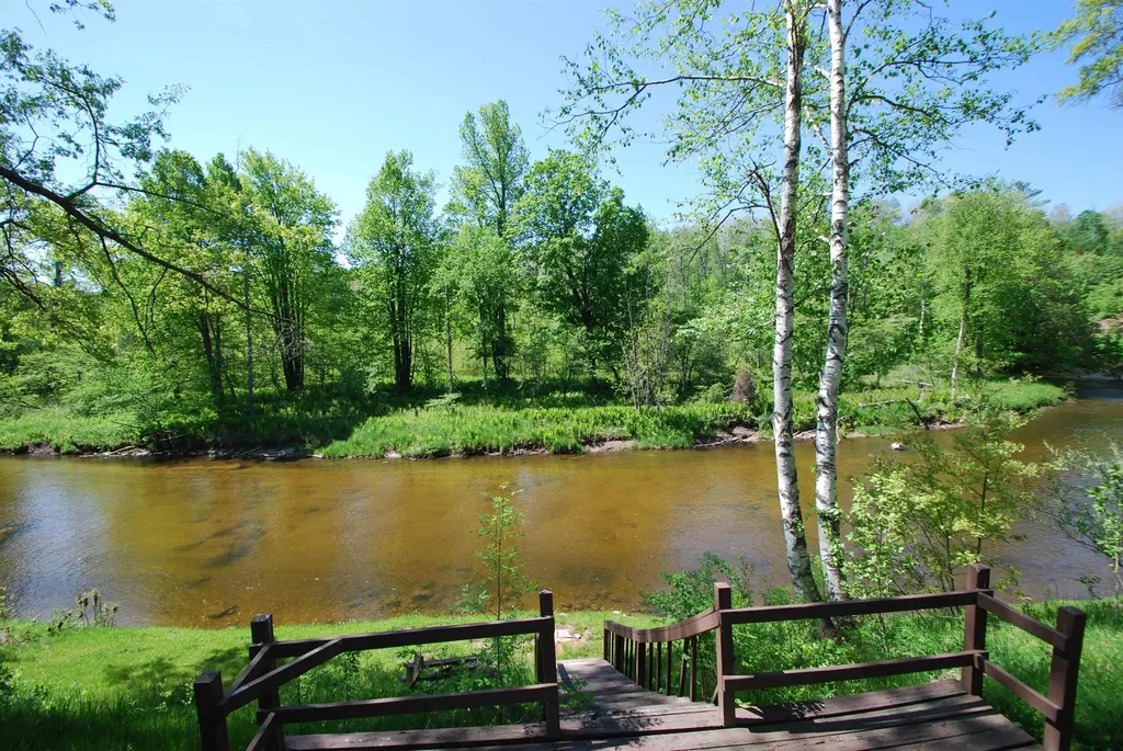 1456 Rifle River Drive Mills Township MI 48756