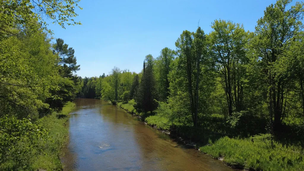 1456 Rifle River Drive Mills Township MI 48756