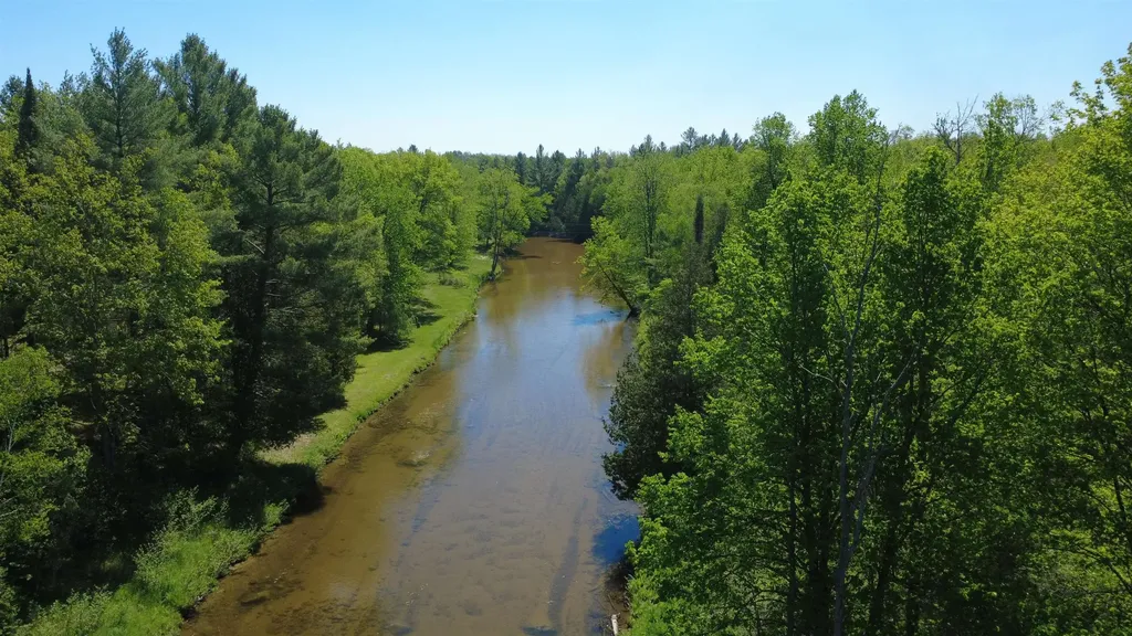 1456 Rifle River Drive Mills Township MI 48756