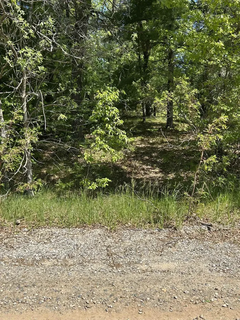 VL_737 Pontiac Trail Mills Township MI 48661