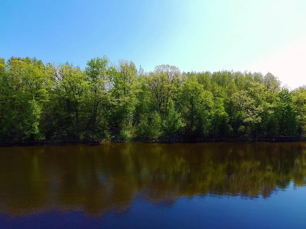 V/l Bass Lake Road Hill Township MI 48635