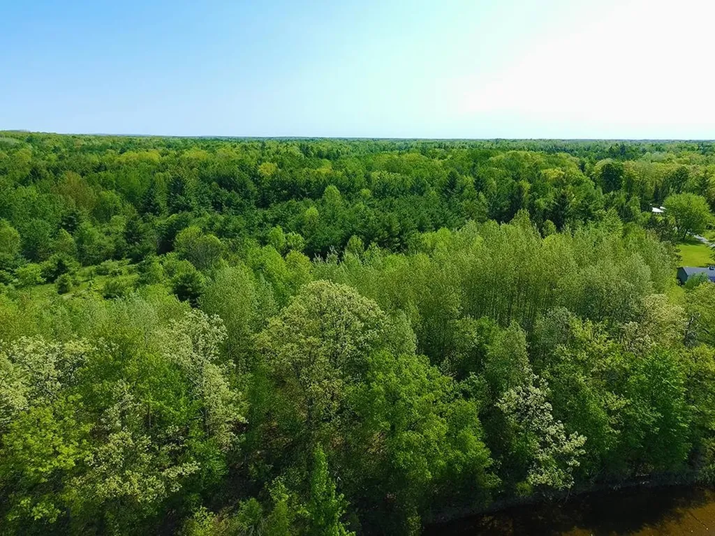 V/l Bass Lake Road Hill Township MI 48635