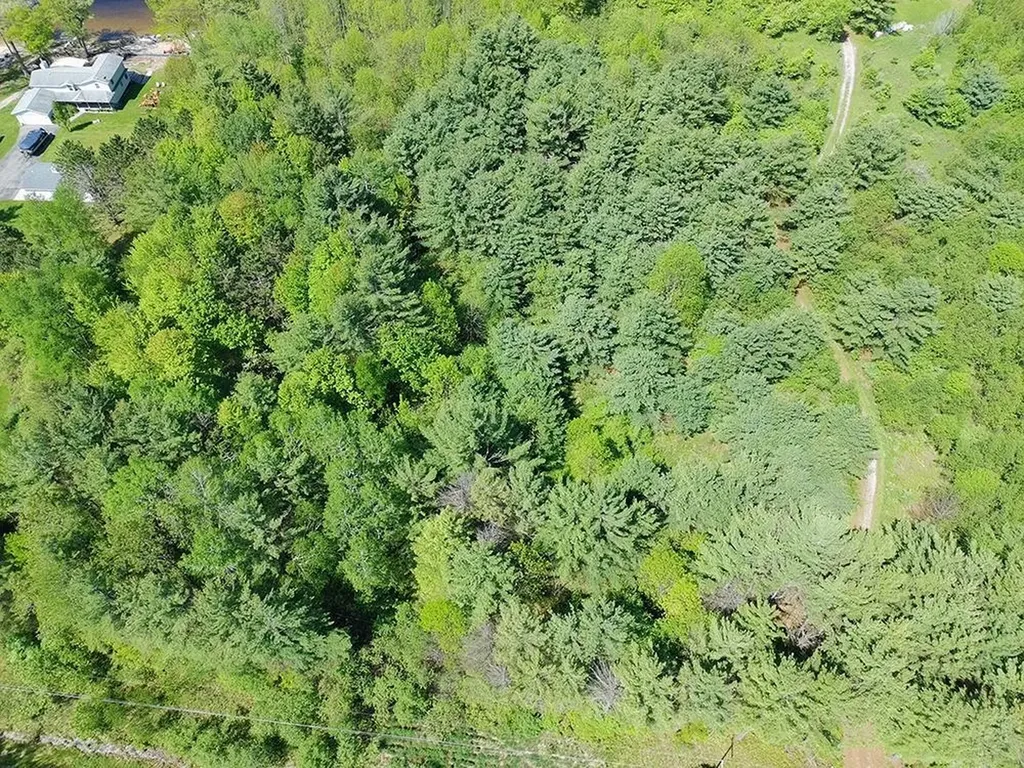 V/l Bass Lake Road Hill Township MI 48635