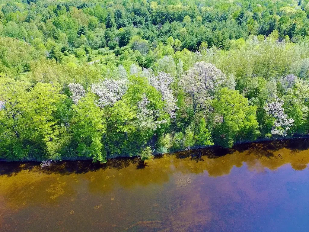 V/l Bass Lake Road Hill Township MI 48635