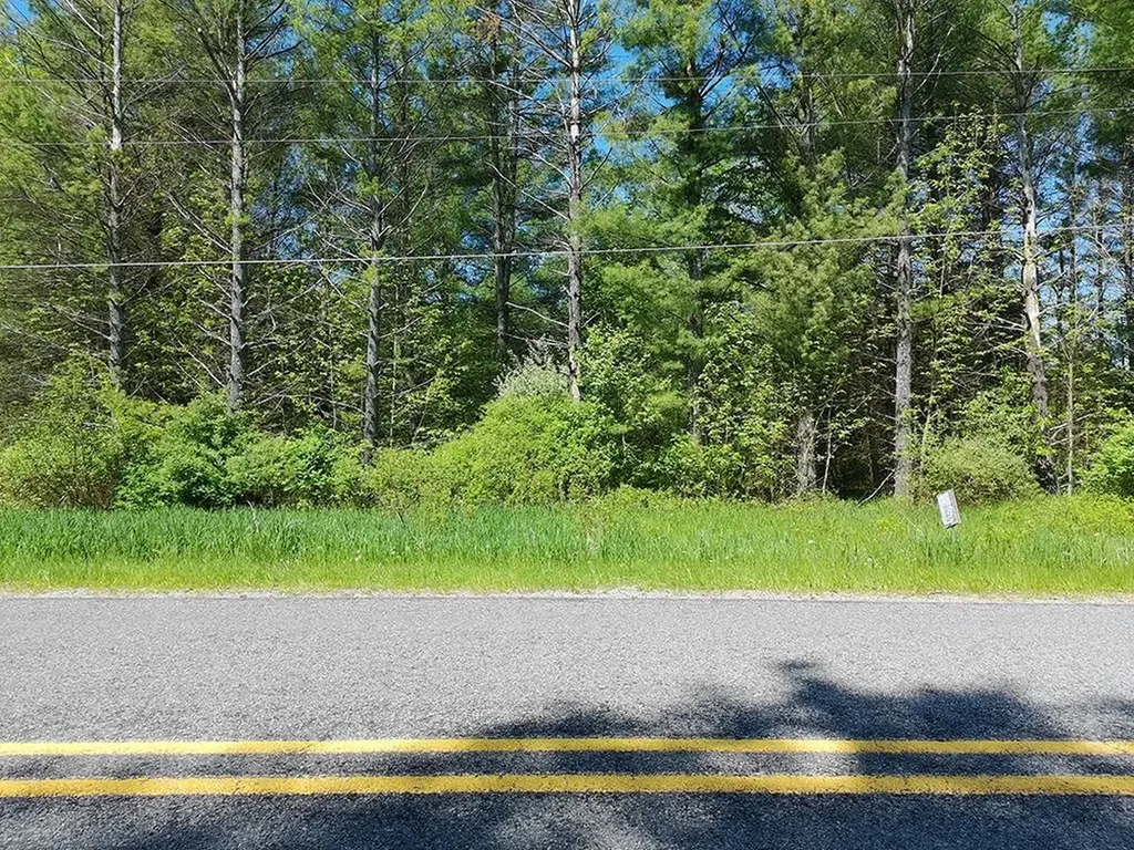 V/l Bass Lake Road Hill Township MI 48635