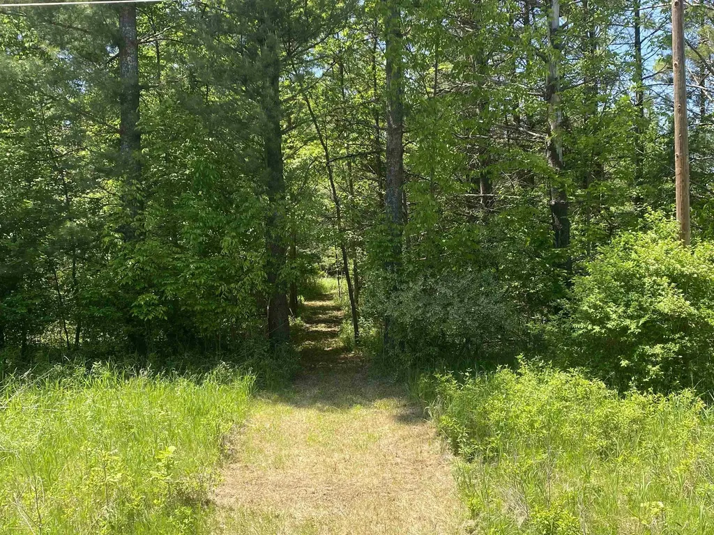 V/l Bass Lake Road Hill Township MI 48635