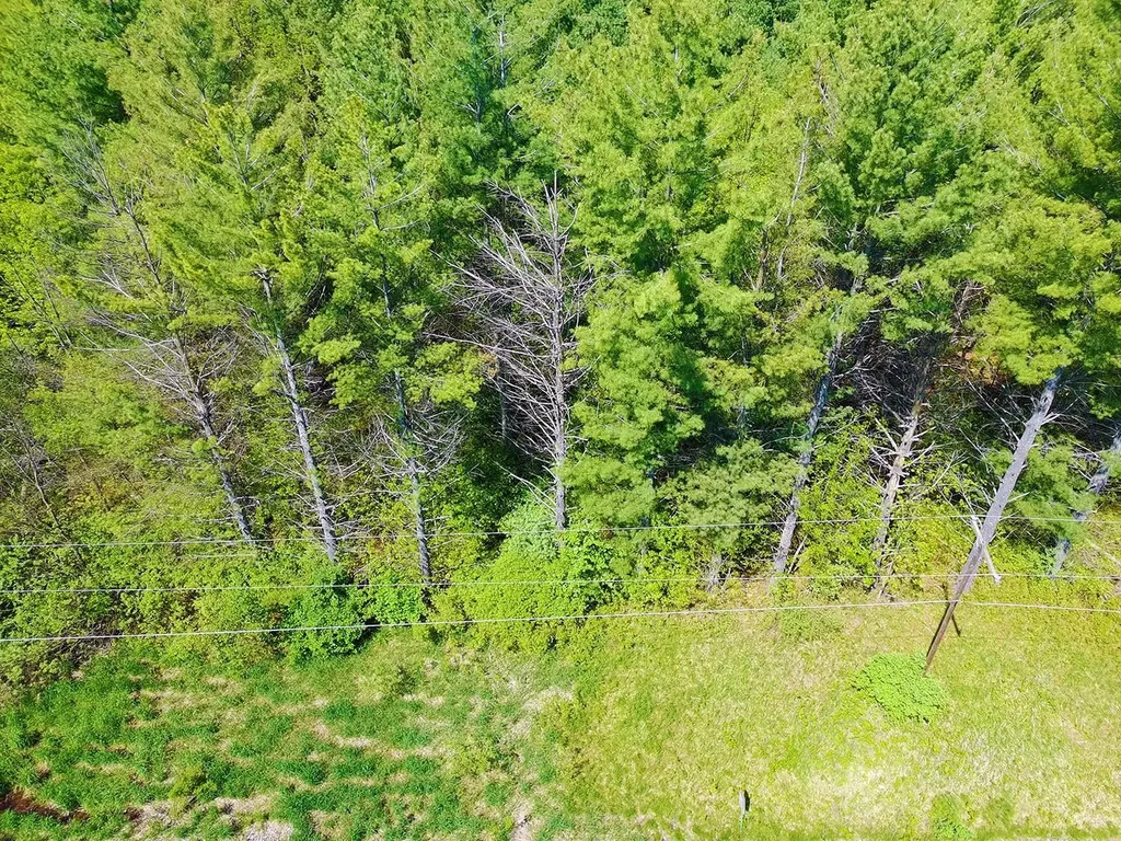 V/l Bass Lake Road Hill Township MI 48635