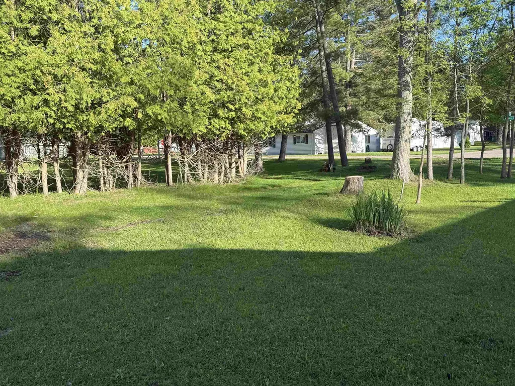 00 Warren Avenue Baldwin Township MI 48730