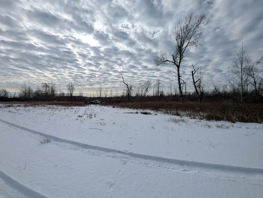 N/a Swenson Road Au Gres Township MI 48703