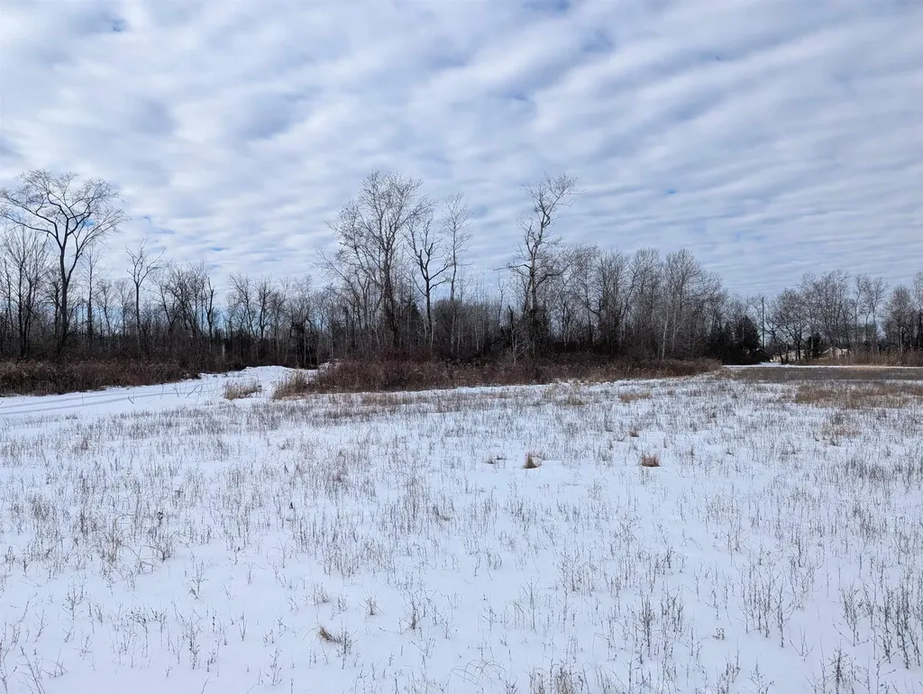 N/a Swenson Road Au Gres Township MI 48703