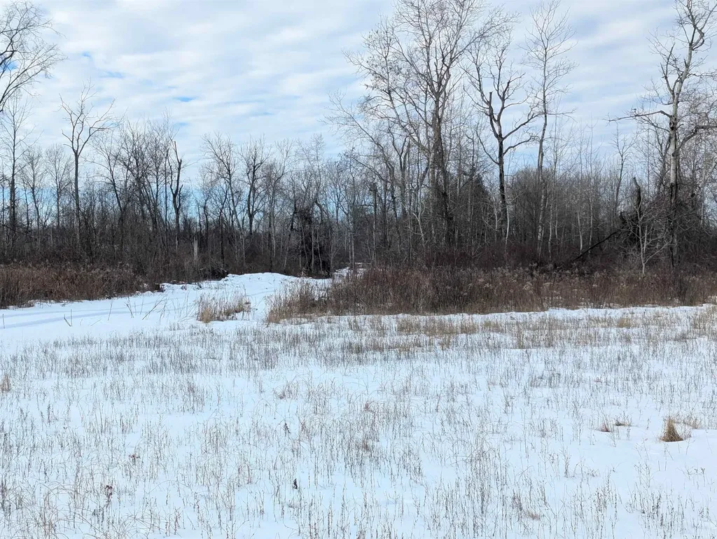 N/a Swenson Road Au Gres Township MI 48703