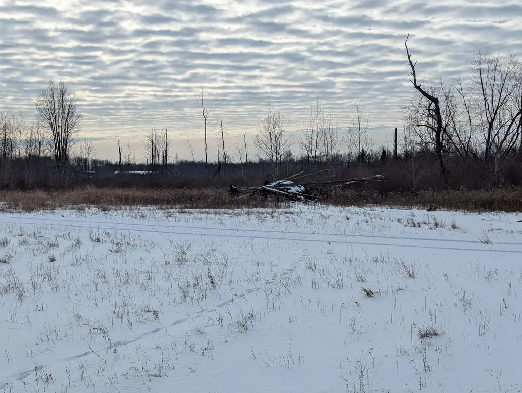 N/a Swenson Road Au Gres Township MI 48703