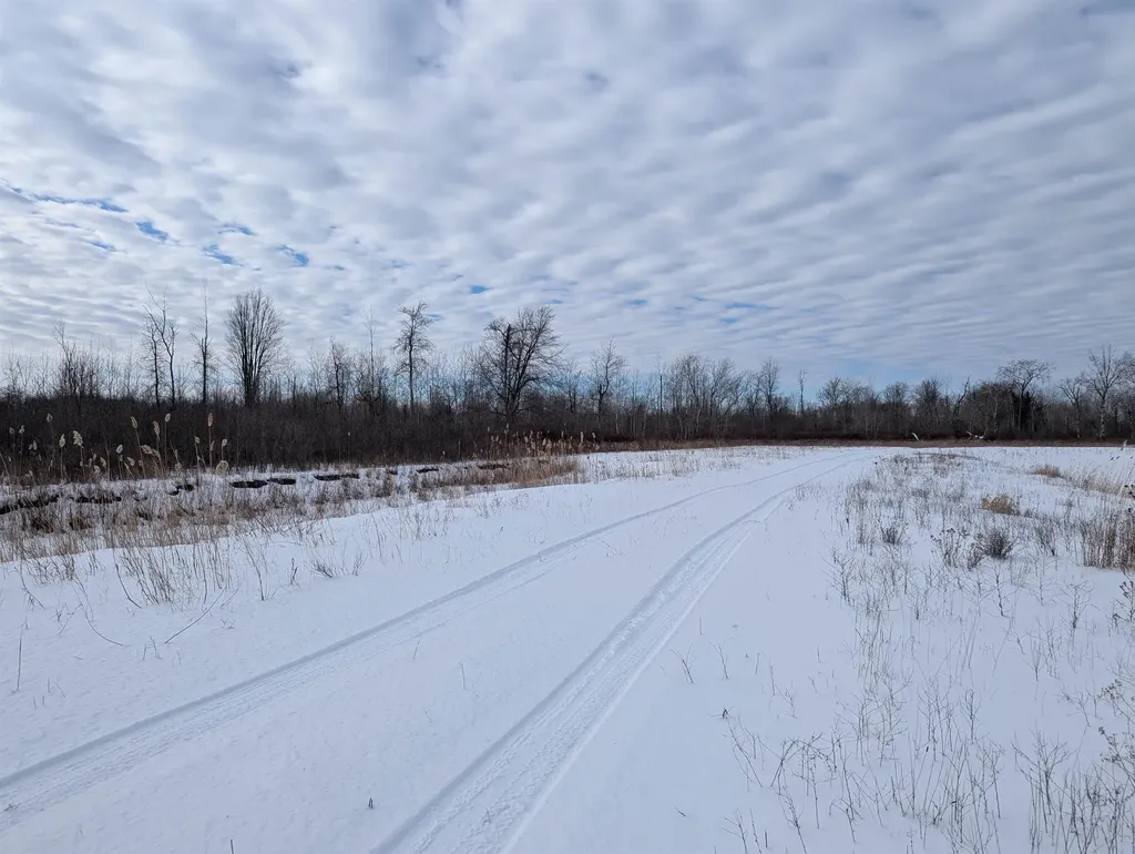N/a Swenson Road Au Gres Township MI 48703