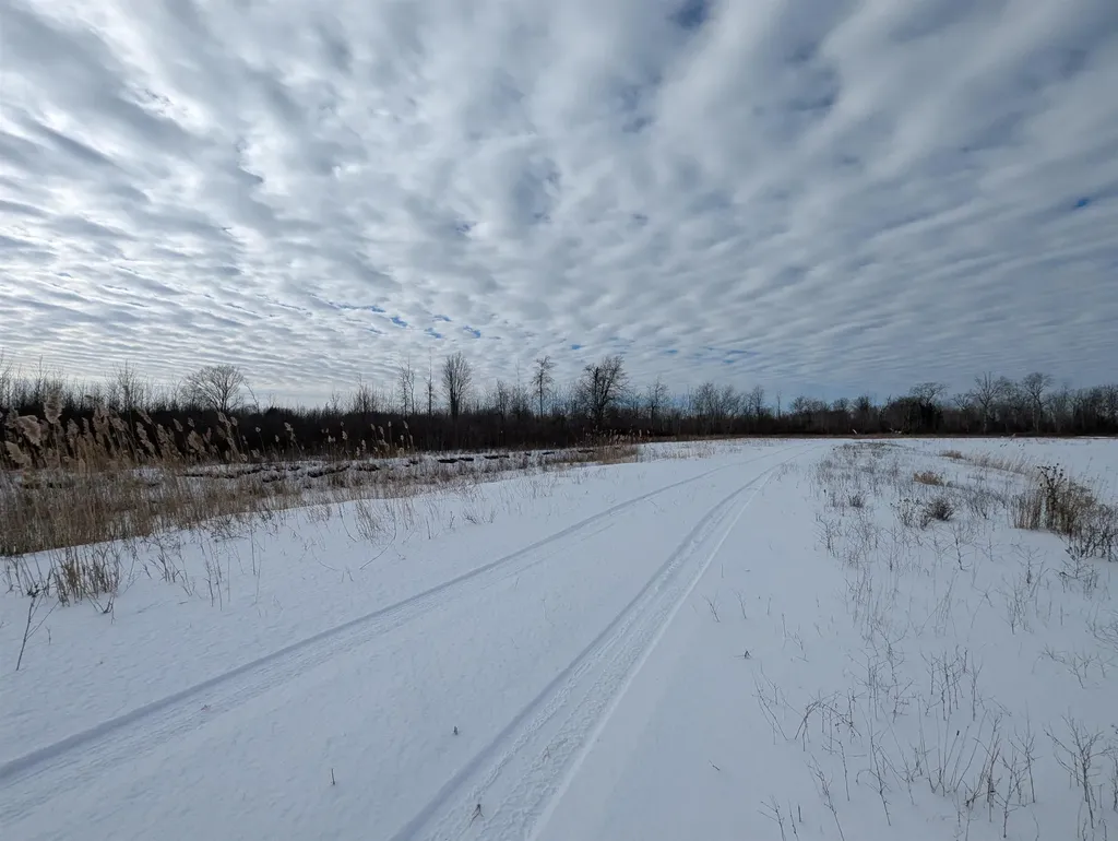 N/a Swenson Road Au Gres Township MI 48703