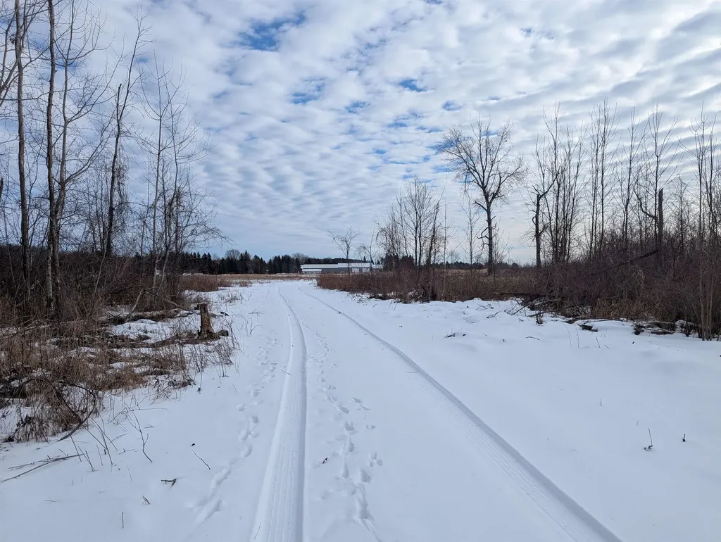 N/a Swenson Road Au Gres Township MI 48703
