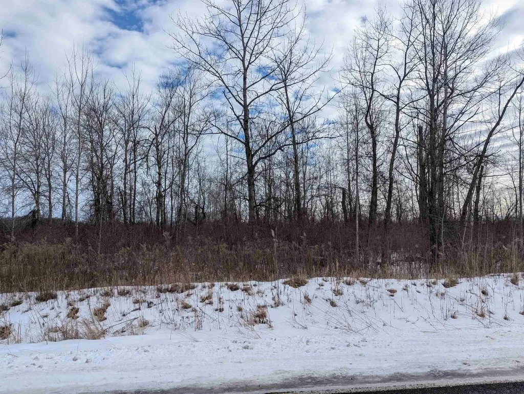 N/a Swenson Road Au Gres Township MI 48703