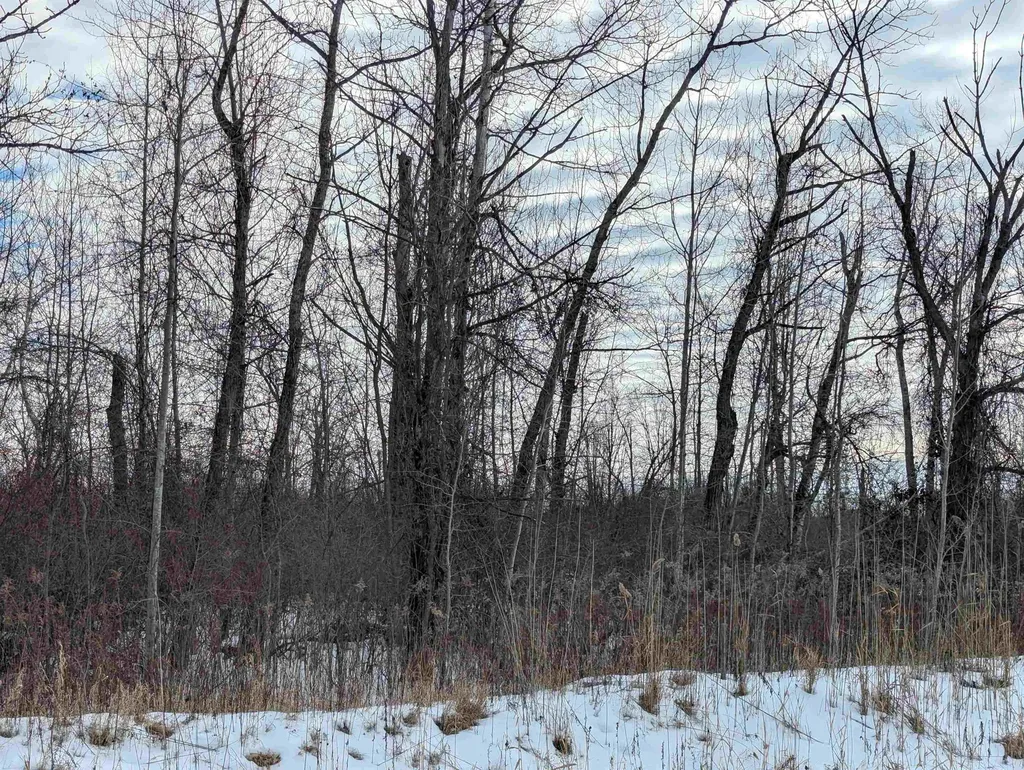 N/a Swenson Road Au Gres Township MI 48703