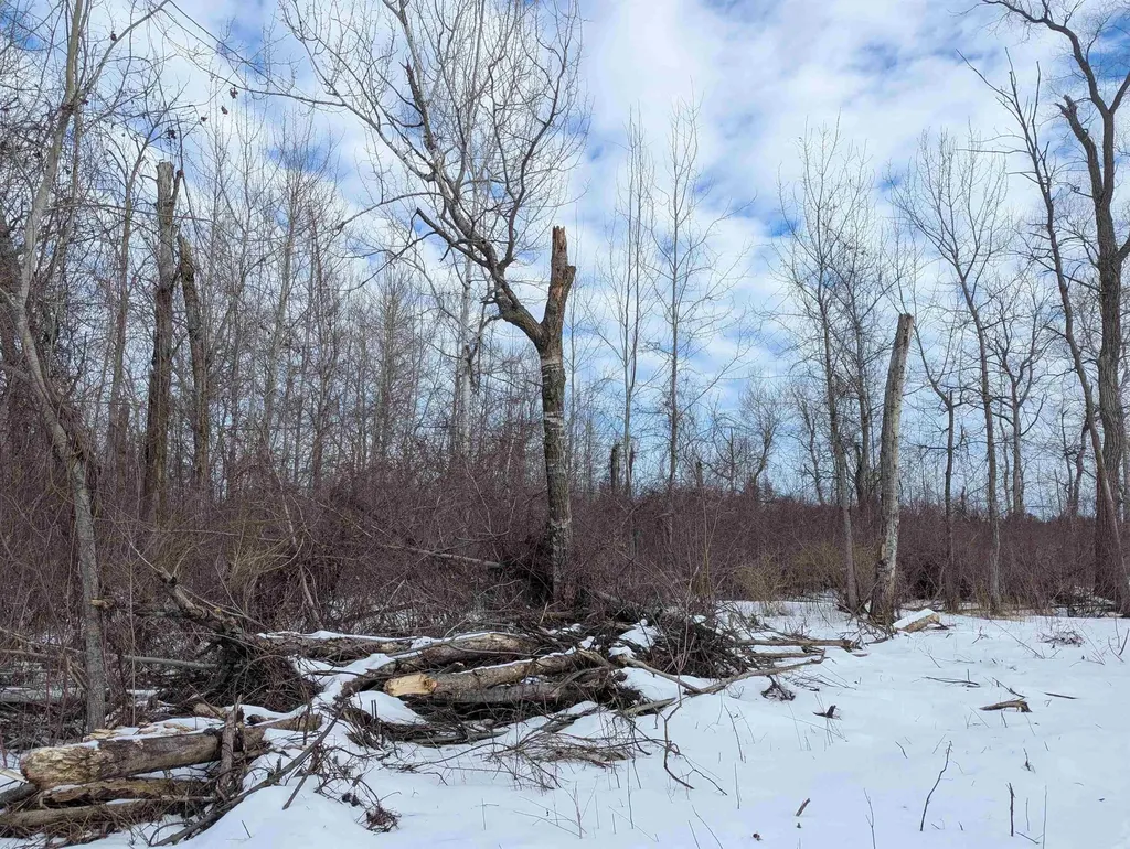 N/a Swenson Road Au Gres Township MI 48703