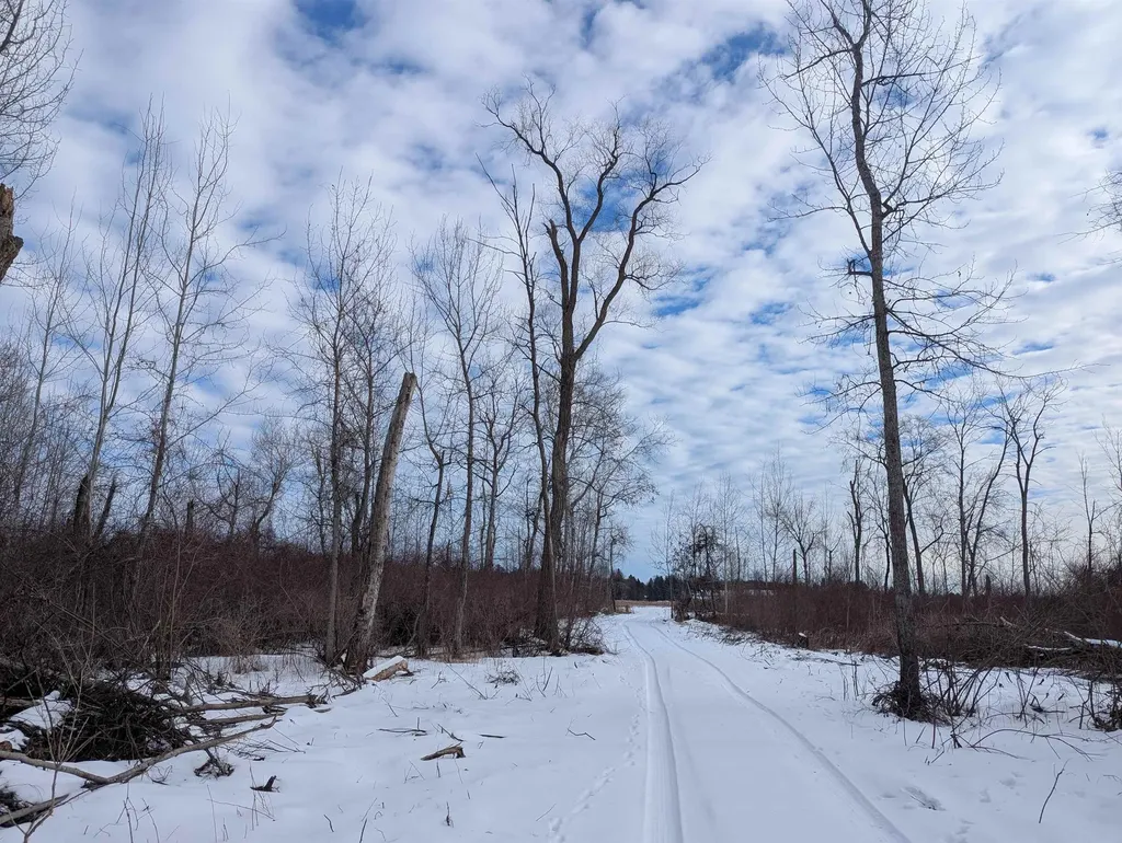 N/a Swenson Road Au Gres Township MI 48703