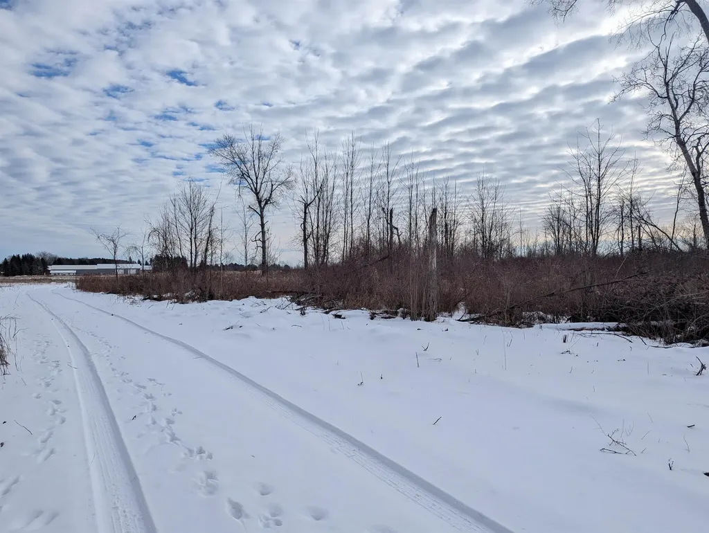 N/a Swenson Road Au Gres Township MI 48703