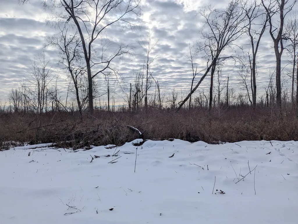 N/a Swenson Road Au Gres Township MI 48703