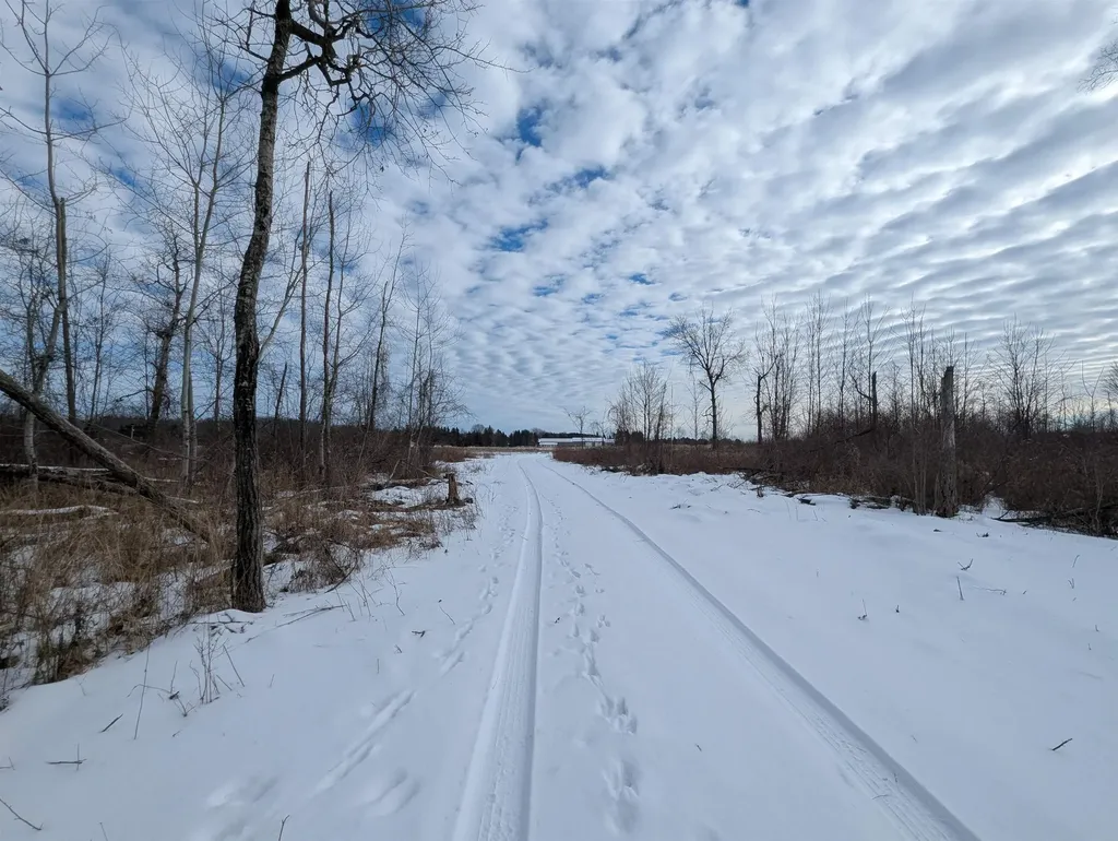 N/a Swenson Road Au Gres Township MI 48703